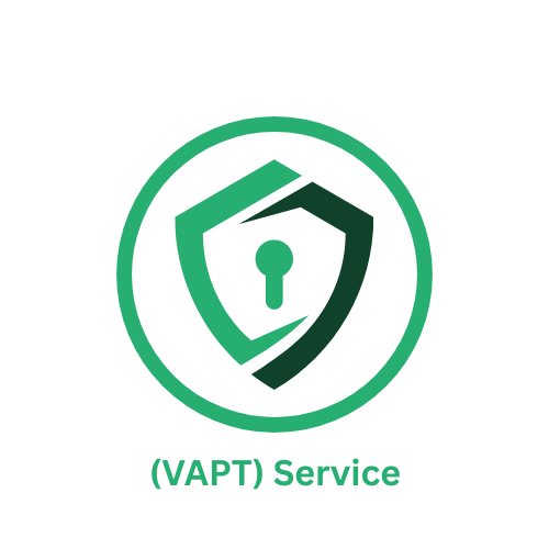 VAPT Service